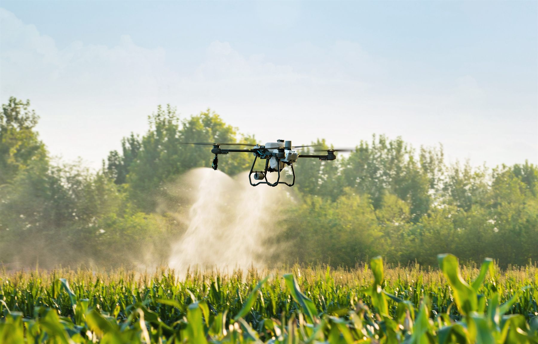 DJI AGRAS T25가 작물 위에서 살포하는 공식 제품 사진