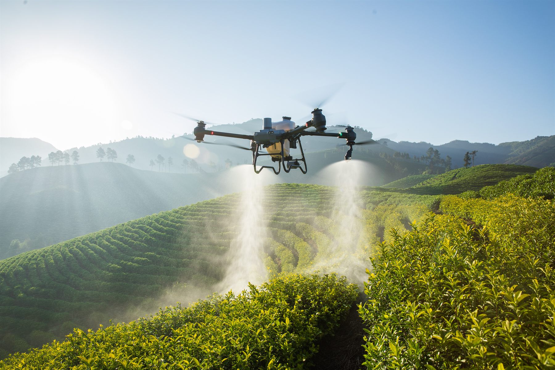 DJI AGRAS T50이 농지 위에서 살포하는 공식 제품 사진